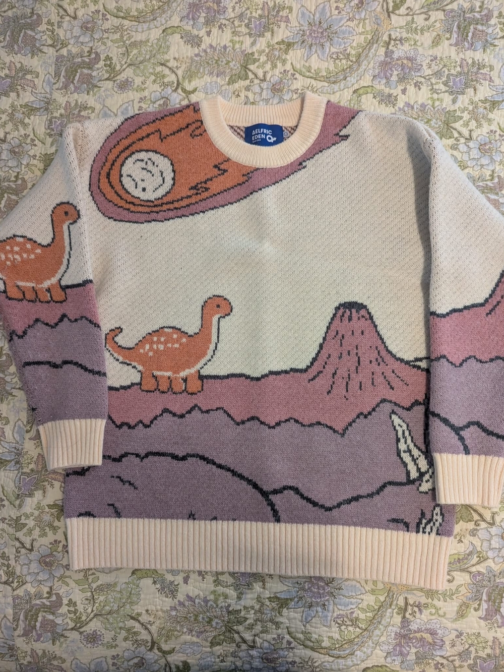 Aelfric Eden Dino Graphic Crewneck Sweater